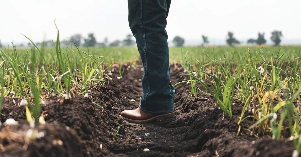 Transformando el campo: Oportunidades en la agroindustria 4.0